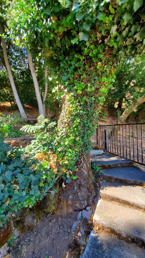 Clear Lake Vista Resort Kelseyville Exterior photo